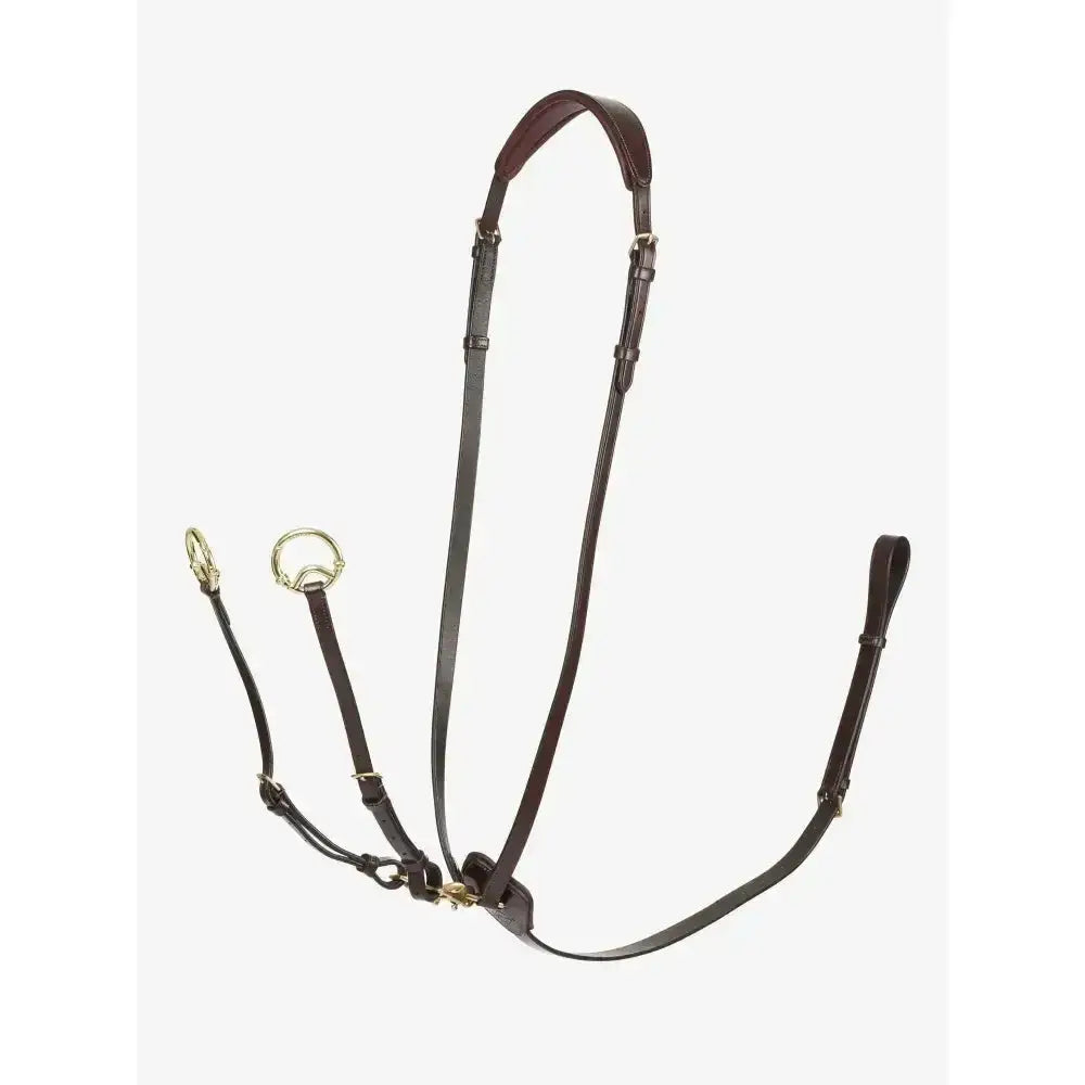 Black leather horse halter with brass hardware and padded headpiece from lemieux kudos running martingale collection