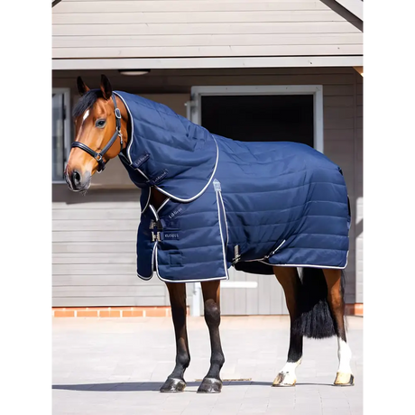 Horse in a blue padded Lemieux Kudos Stable Neck Cover 100g Navy blanket and halter