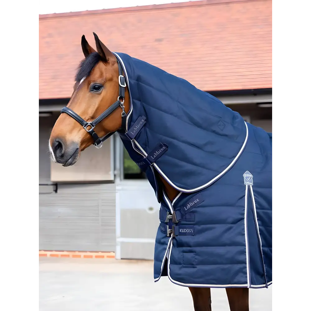 Horse in Navy Lemieux Kudos Stable Neck Cover, perfect for winter protection