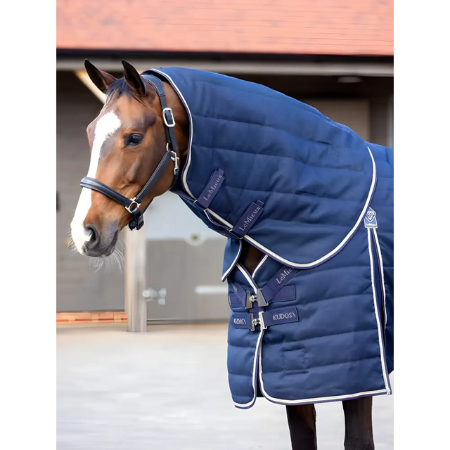 Horse in Lemieux Kudos Stable Neck Cover 200g Navy with blue padded blanket and halter