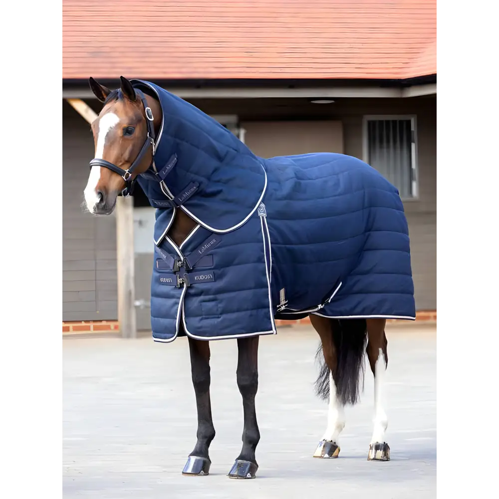 Horse with Lemieux Kudos Stable Neck Cover 200g in Navy, featuring a blue blanket and halter