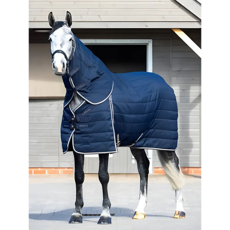 Horse in a Lemieux Kudos Stable Neck Cover 50g Navy blanket and hood for winter