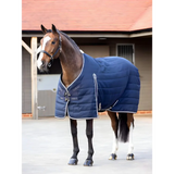 Horse in Lemieux Kudos Stable Rug 100g Navy, showcasing a blue padded blanket