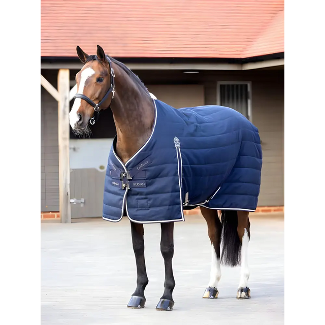 Horse in Lemieux Kudos Stable Rug 100g Navy, showcasing a blue padded blanket