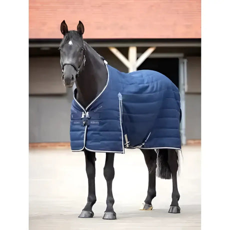 Navy blue quilted horse blanket with white trim and front closures lemieux kudos stable rug 200g warmth and comfort