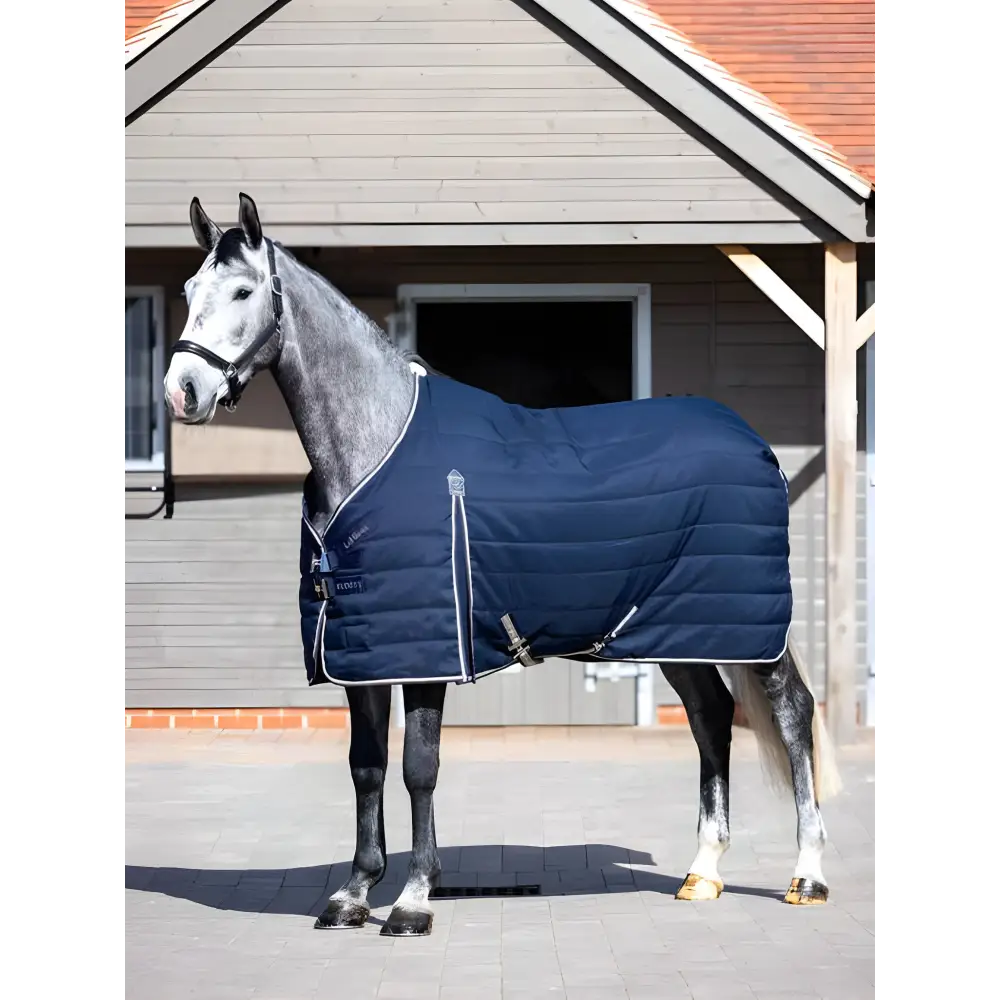 Gray horse wearing a navy blue Lemieux Kudos Stable Rug 50g for optimal warmth