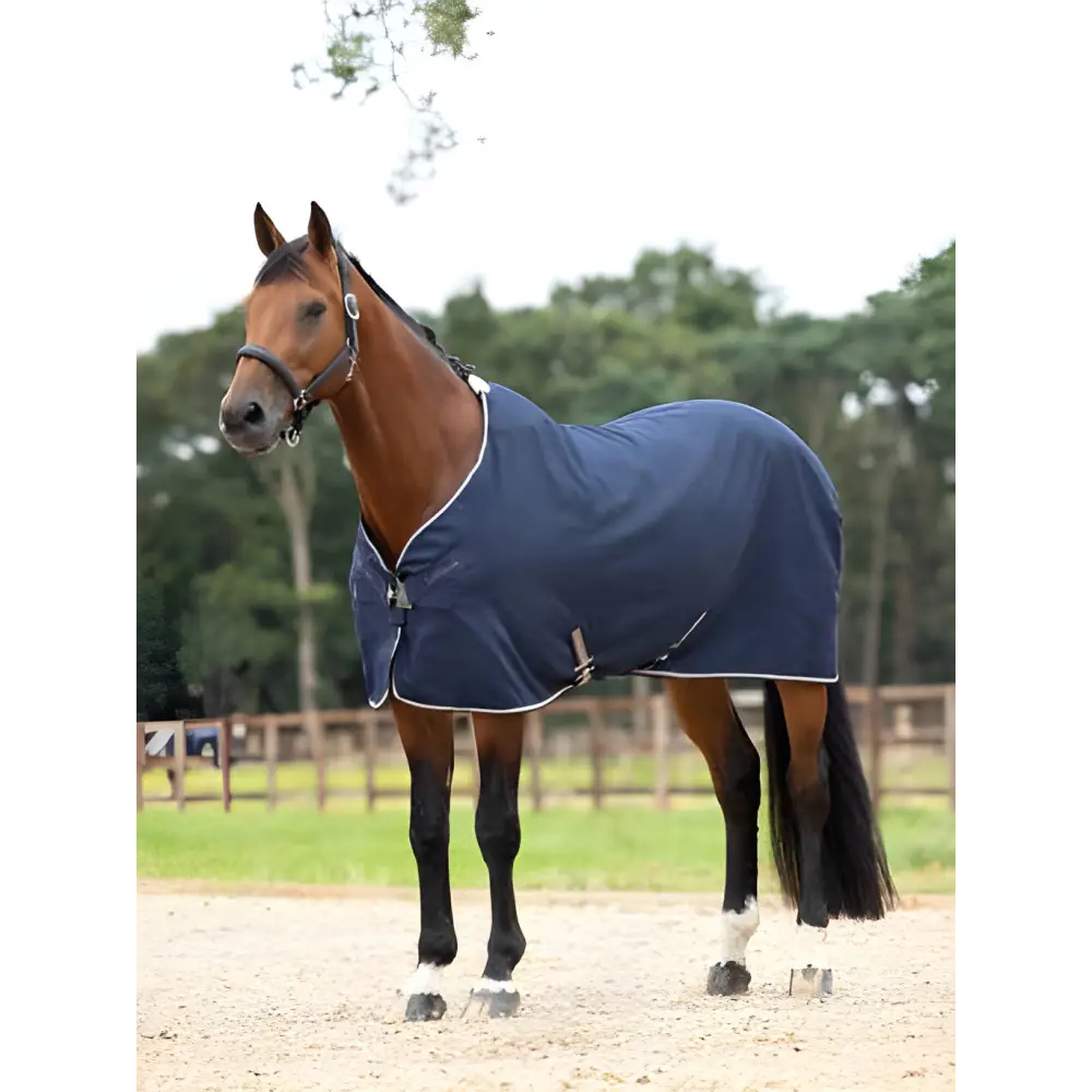 Brown horse in a navy blue Lemieux Kudos Stable Sheet for optimal comfort