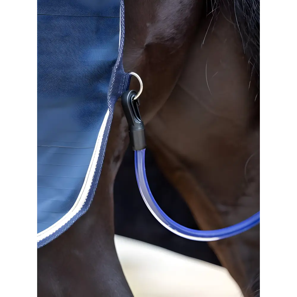 Horse in a blue halter showcasing the Lemieux Kudos Stable Sheet Navy