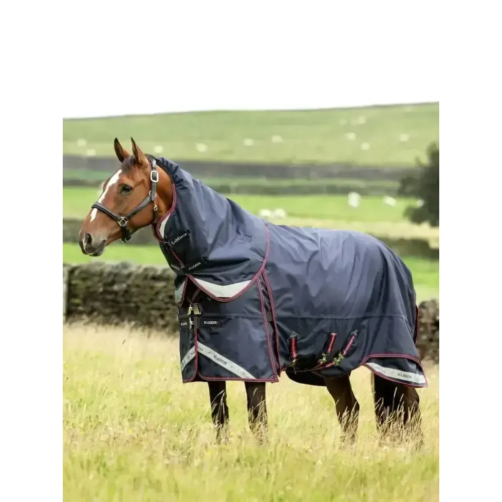 Lemieux Kudos Thermo Layer Turnout Rug 300g Navy 4'9 Turnout Rugs