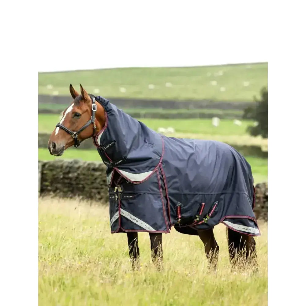 Navy blue waterproof horse rug with maroon trim and reflective stripes lemieux kudos thermo layer turnout 300g