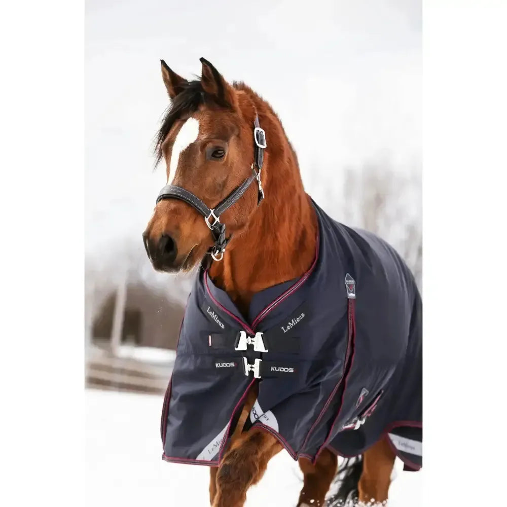 LeMieux Kudos Turnout Rug 200g Navy Detachable Neck With Liner System 5'9" Turnout Rugs