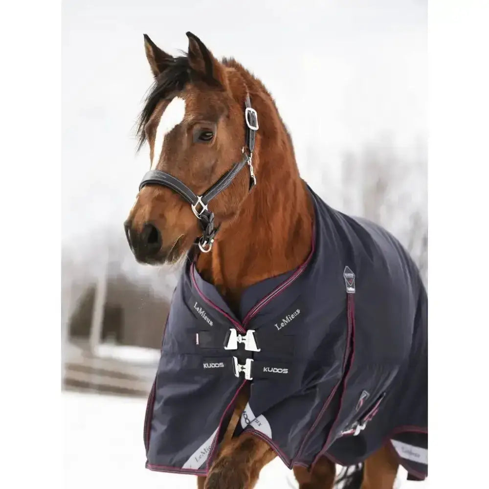 Dark blue lemieux kudos turnout rug 200g with maroon trim white branding and front closure system