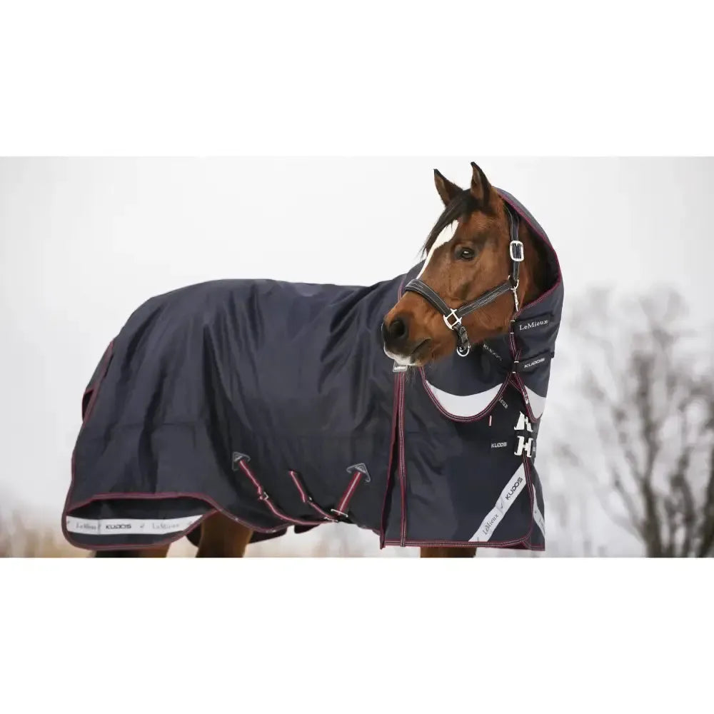 Lemieux Kudos Turnout Rug 200g Navy 4'9 Navy Turnout Rugs
