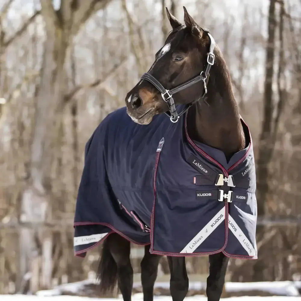 LeMieux Kudos Turnout Rug 350g Heavy Weight Detachable Neck With Liner System Navy 5'6" Turnout Rugs
