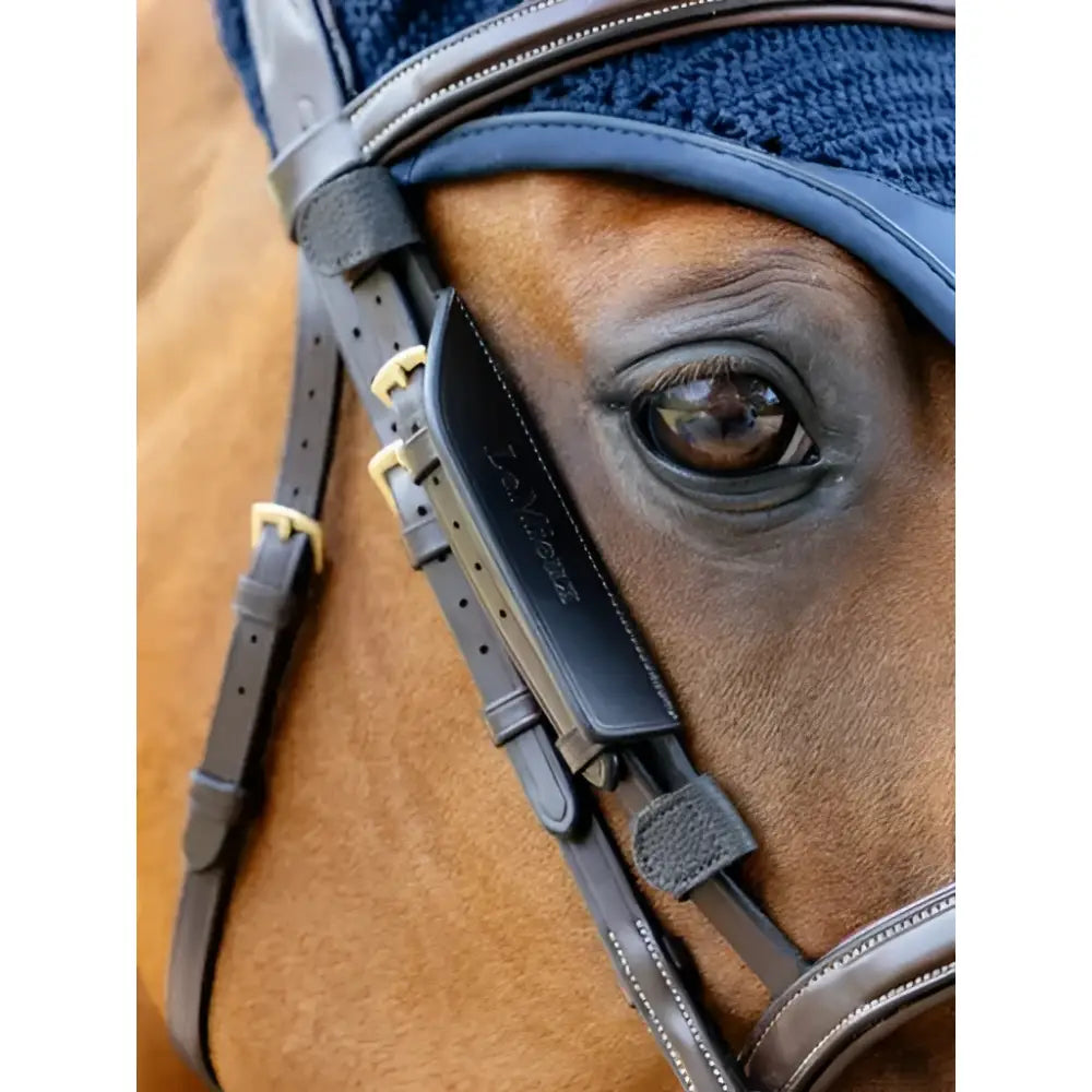 Dark blue lemieux leather bridle with gold buckles and padded browband in leather bridle blinkers brown style