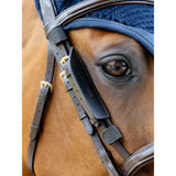 Dark blue lemieux leather bridle with gold buckles and padded browband in leather bridle blinkers brown style