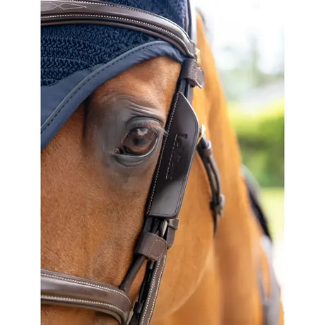 Navy blue padded lemieux leather bridle blinkers havanna with black leather strap and lohmann emboss on side