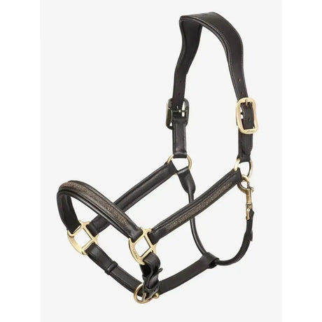 Black leather horse halter with gold hardware and embossed details in signature lemieux leather crystal style