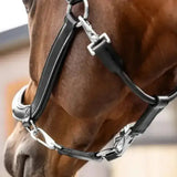 Black leather lemieux leather grooming headcollar with silver chain link hardware and durable leather material