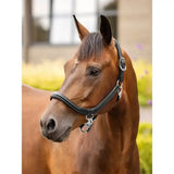 Black leather lemieux leather grooming headcollar with silver hardware is a durable leather grooming headcollar helps control