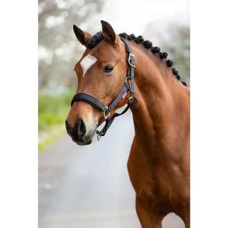 Lemieux Logo Headcollar Cinder - Headcollars