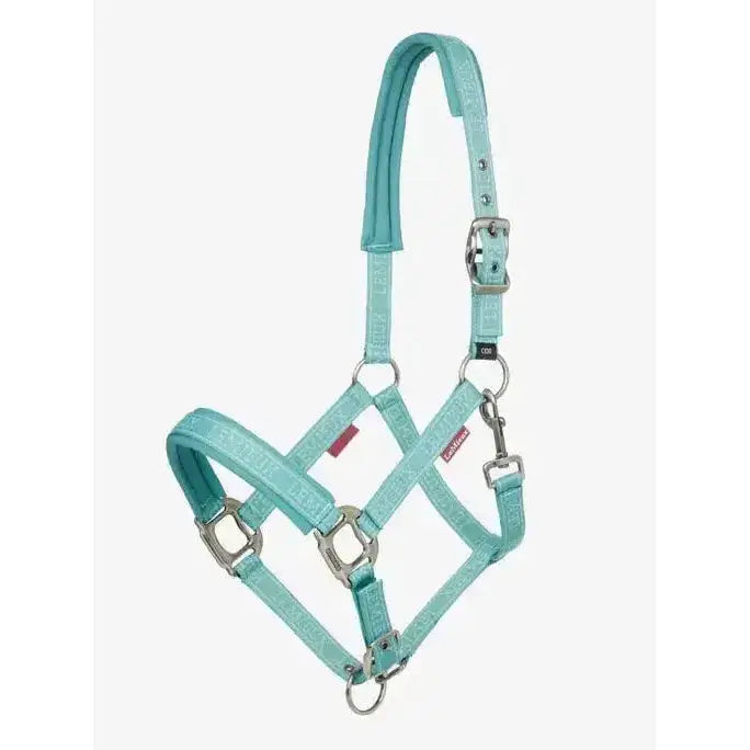 A mint green leather lemieux logo headcollar lagoon with silver metal hardware and subtle embossed pattern