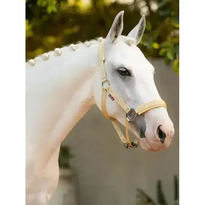 A light beige leather lemieux logo headcollar mimosa with silver hardware and a small red brand tag