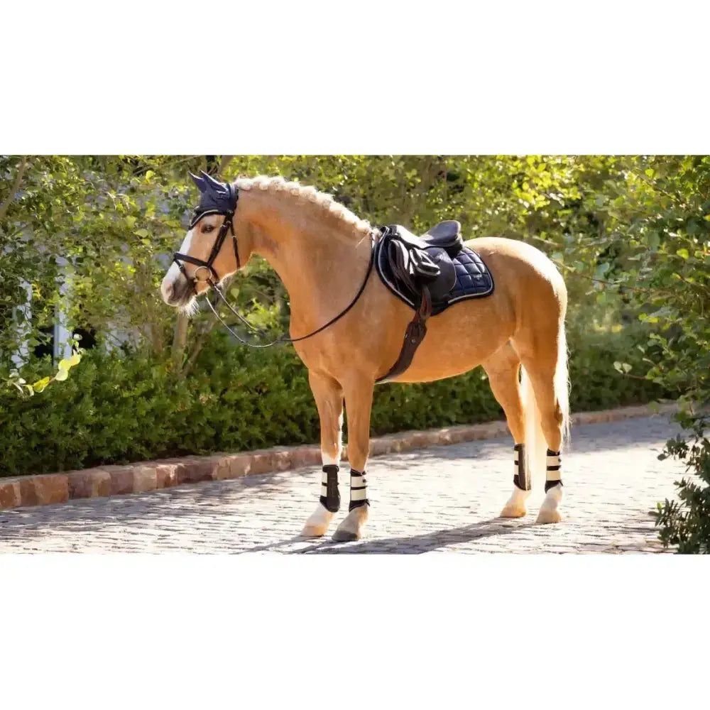 A light brown horse with black saddle and leg wraps stands on path showcasing lemieux loire classic close contact pad dusk blue