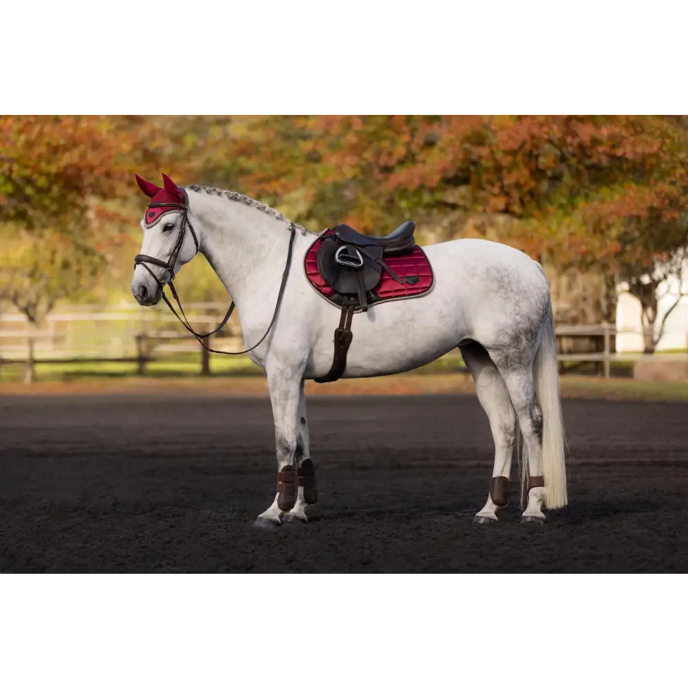 Lemieux Loire Classic Close Contact Square Ember - Saddle Pads & Numnahs