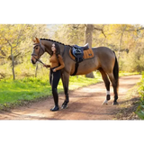 Lemieux Loire Classic Close Contact Square Ginger Small/Medium Ginger Saddle Pads