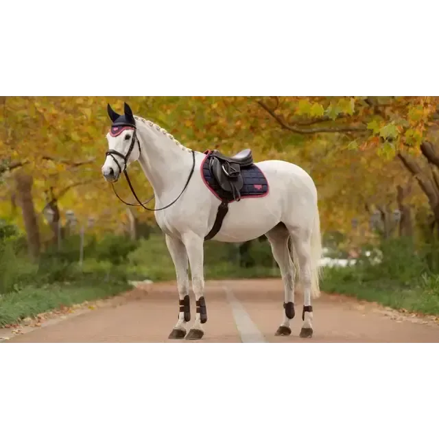 Lemieux Loire Classic Close Contact Square Navy/Cranberry Navy/Cranberry Small/Medium Saddle Pads