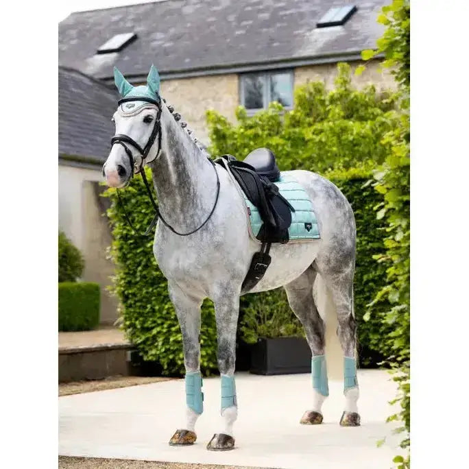 A gray dapple horse wearing a black bridle and teal lemieux loire classic dressage square aqua saddle pad and leg wraps