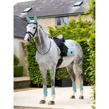 A gray dapple horse wearing a black bridle and teal lemieux loire classic dressage square aqua saddle pad and leg wraps