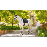 A white horse on a sunlit path wearing lemieux loire classic dressage square dusk purple leg wraps and black saddle