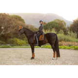 Lemieux Loire Classic Dressage Square Ginger - Dressage Saddle Pads