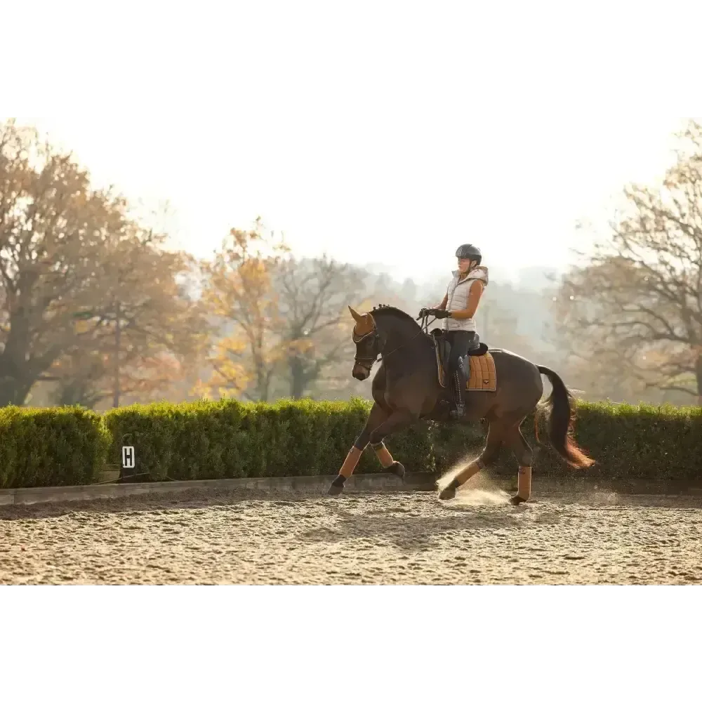 Lemieux Loire Classic Dressage Square Ginger Small/Medium Ginger Dressage Saddle Pads