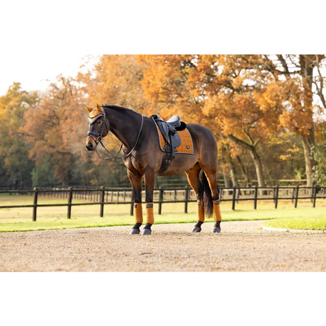 Lemieux Loire Classic Dressage Square Ginger - Dressage Saddle Pads