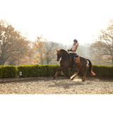 Lemieux Loire Classic Dressage Square Ginger - Dressage Saddle Pads