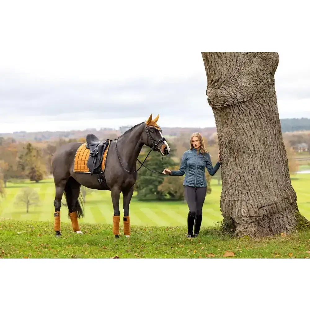 Dark brown horse wearing lemieux loire classic dressage square ginger with black saddle and orange leg wraps
