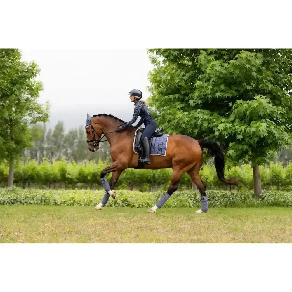 Lemieux Loire Classic Dressage Square Jay Blue Small/Medium Dressage Saddle Pads