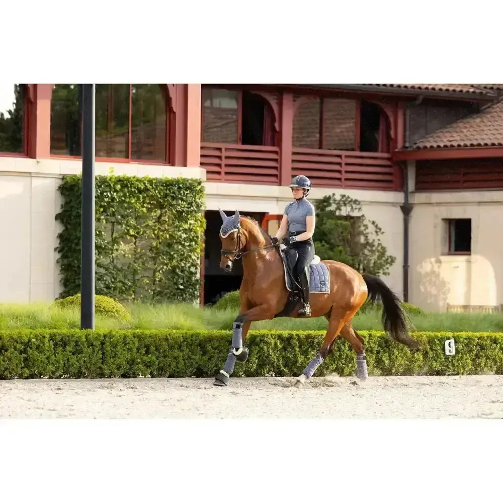 Lemieux Loire Classic Dressage Square Jay Blue Small/Medium Dressage Saddle Pads