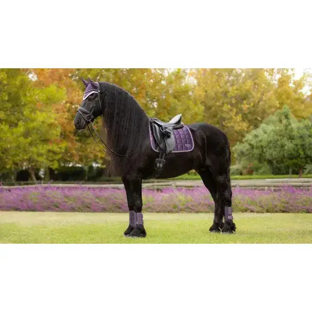 Black horse wearing lemieux loire classic dressage square juniper purple quilted saddle pad with black gear