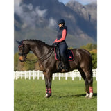 Lemieux Loire Classic Dressage Square Navy/Cranberry Navy/Cranberry Small/Medium Dressage Saddle Pads
