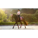 A sleek black horse wearing lemieux loire classic dressage square peony pink saddle pad and matching leg wraps
