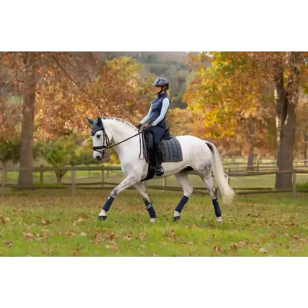 Lemieux Loire Classic Dressage Square Petrol Small/Medium Petrol Dressage Saddle Pads