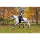 Lemieux Loire Classic Dressage Square Petrol - Dressage Saddle Pads