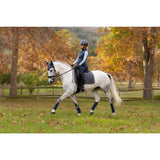 A white horse wearing lemieux loire classic dark blue dressage square petrol saddle pad and black leg wraps in autumn field