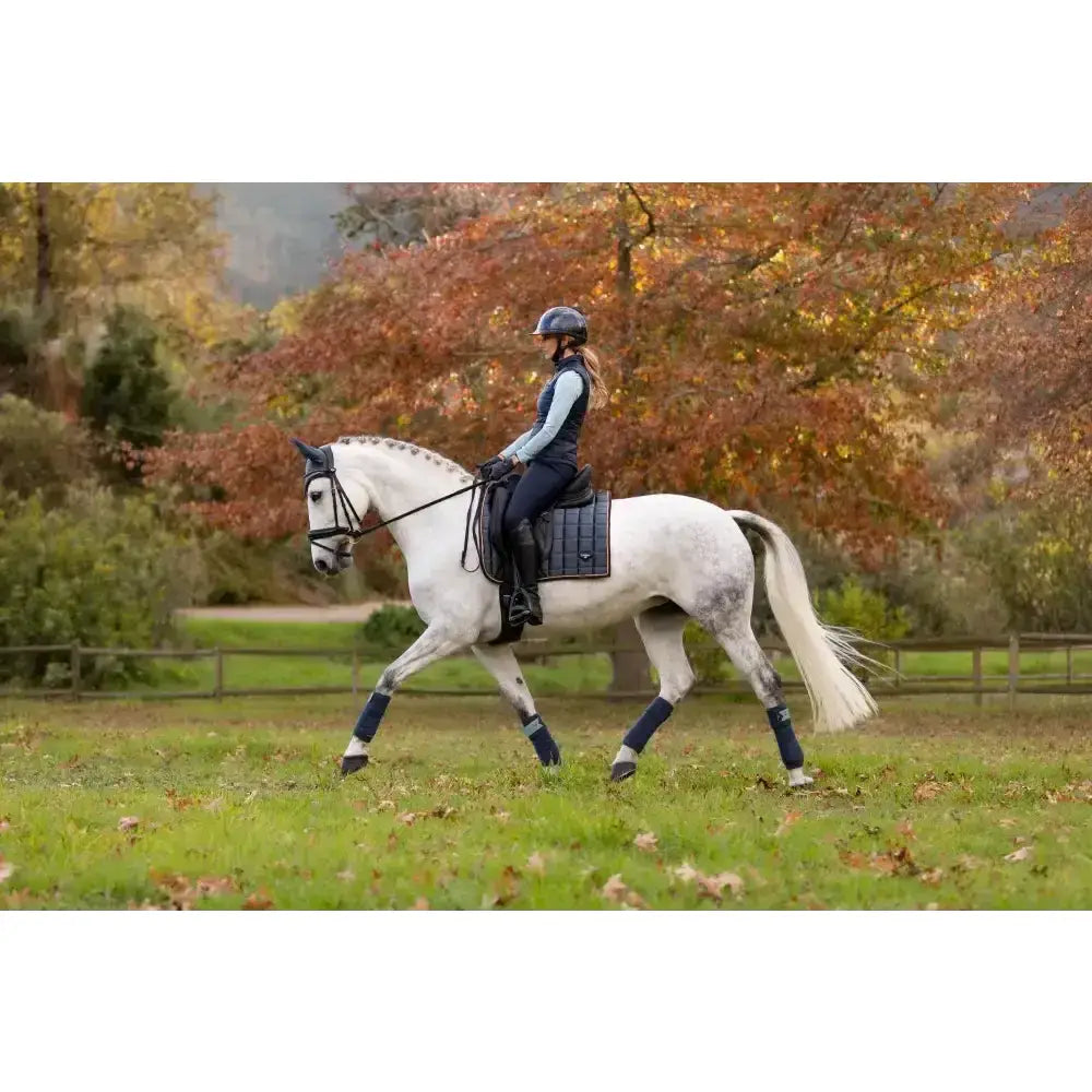 A white horse wearing black leg wraps and a dark bridle ridden by an equestrian using lemieux loire classic dressage square petrol