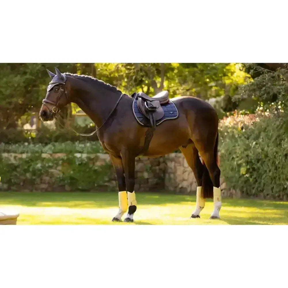 Lemieux Loire Classic GP Square Dusk Blue Dusk Blue Small/Medium Saddle Pads