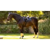 Lemieux Loire Classic GP Square Dusk Blue Dusk Blue Small/Medium Saddle Pads